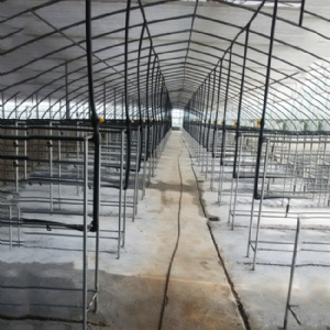 温室大棚建造及配件
